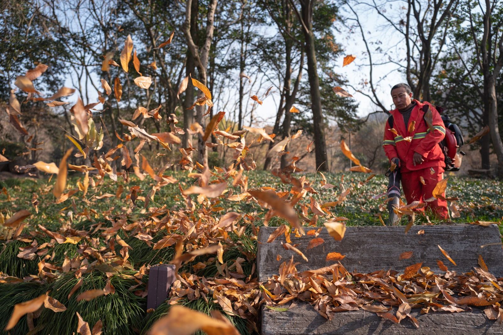 A person using a leaf blower in an autumn yard