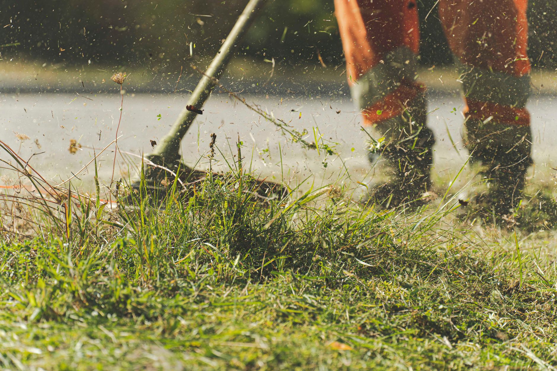 Mulching leaves back into the lawn