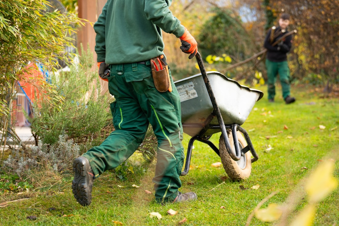 Match the seed to your lawn and spread it evenly.