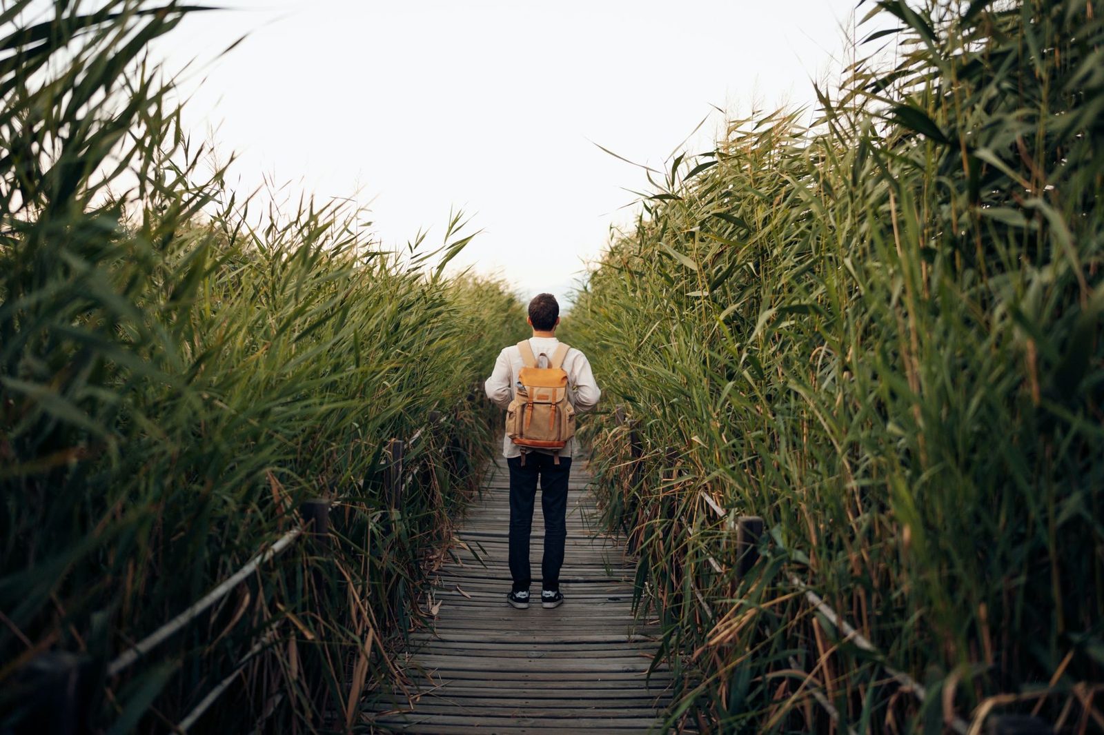 A person walking a path through tall grass
