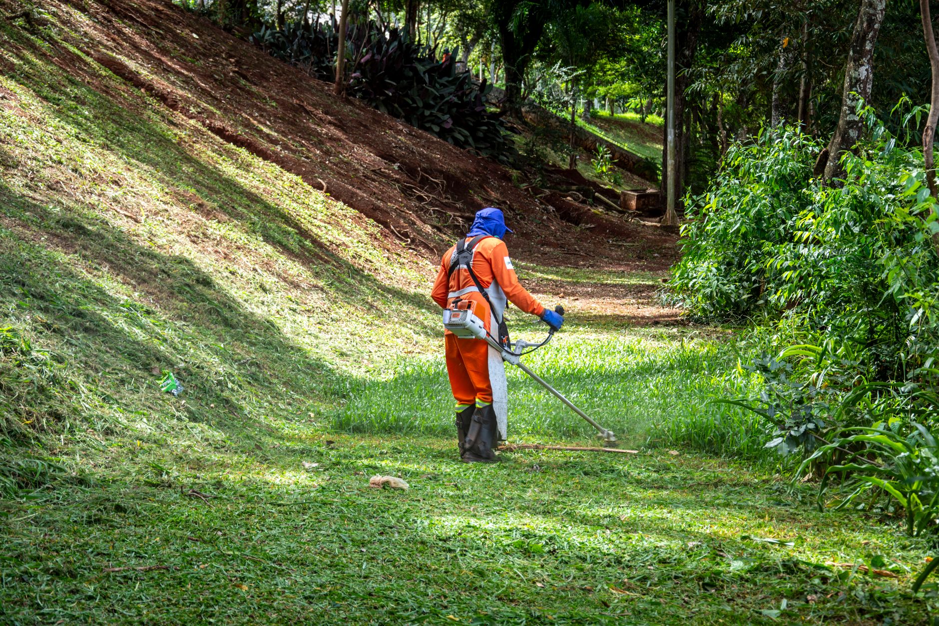 A tidy, mowed yard with a clear edge to the woods