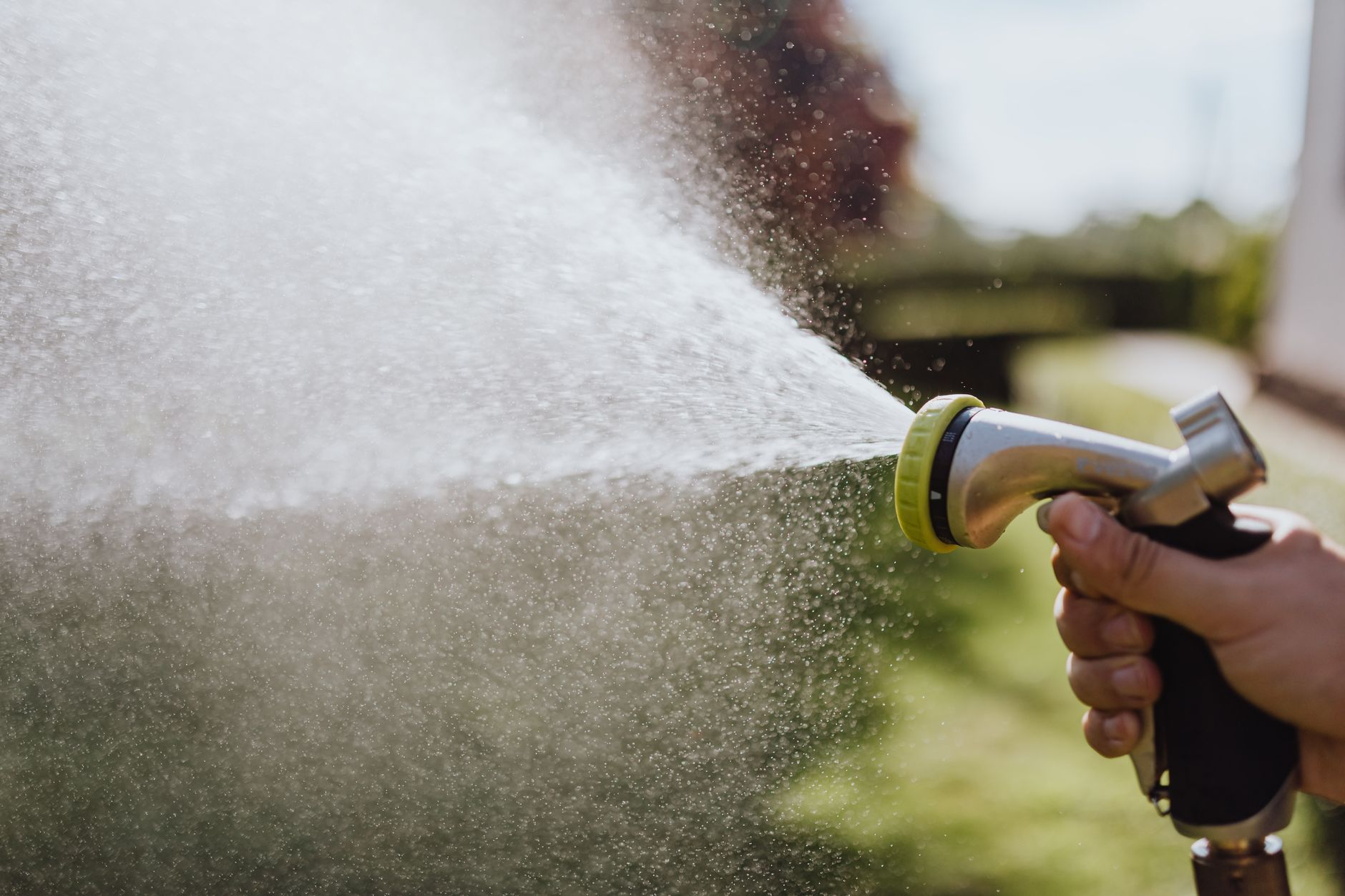 How you water matters more than how much.